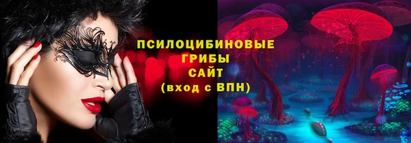СК Беломорск