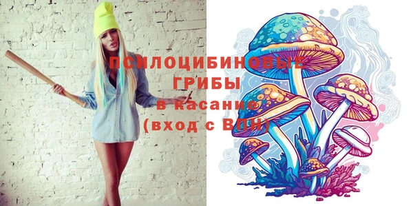 соль ск Белокуриха
