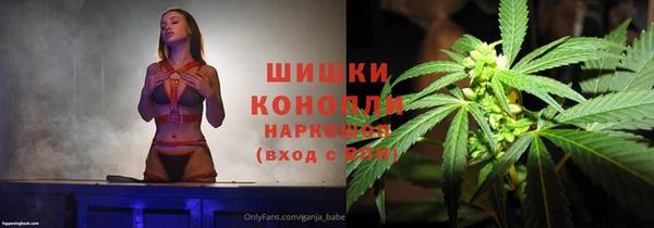 соль ск Белокуриха