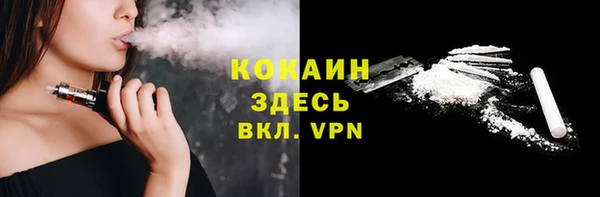 соль ск Белокуриха