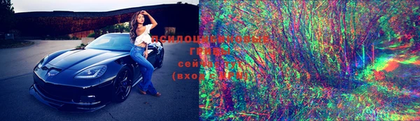 соль ск Белокуриха