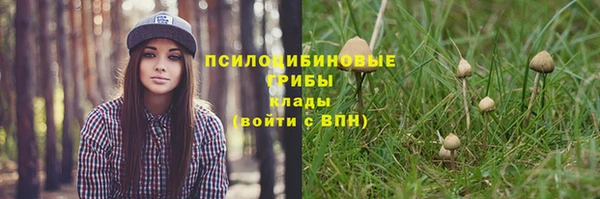 трава Белоозёрский