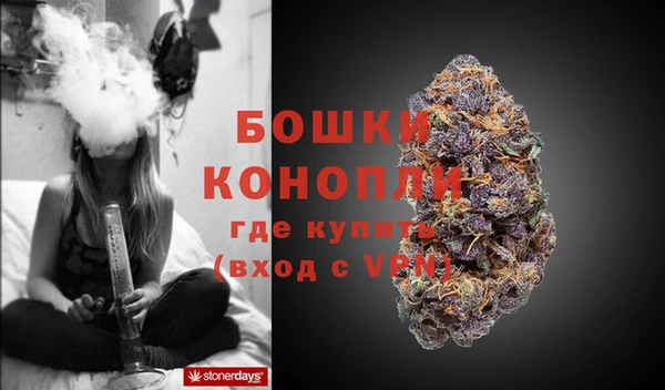 соль ск Белокуриха