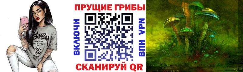 Псилоцибиновые грибы мухоморы  mega ONION  Кудымкар 
